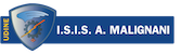 Logo Malignani